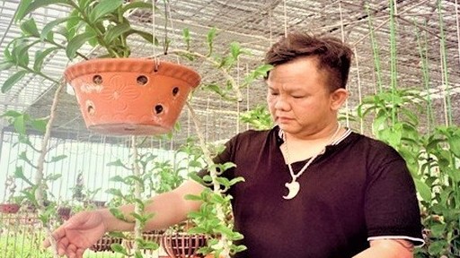 Nghệ nhân Nguyễn Đăng Ghin: Thị trường hoa lan sớm sôi động trở lại