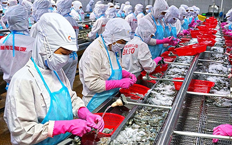 Cà Mau đẩy mạnh thu hút đầu tư vào các dự án trọng điểm.