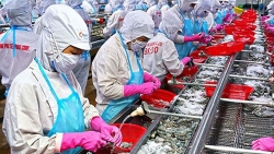 Cà Mau đẩy mạnh thu hút đầu tư