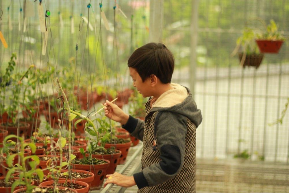 Mạnh Đinh: Chàng trai 8X nuôi dưỡng ước mơ làm giàu từ hoa phong lan