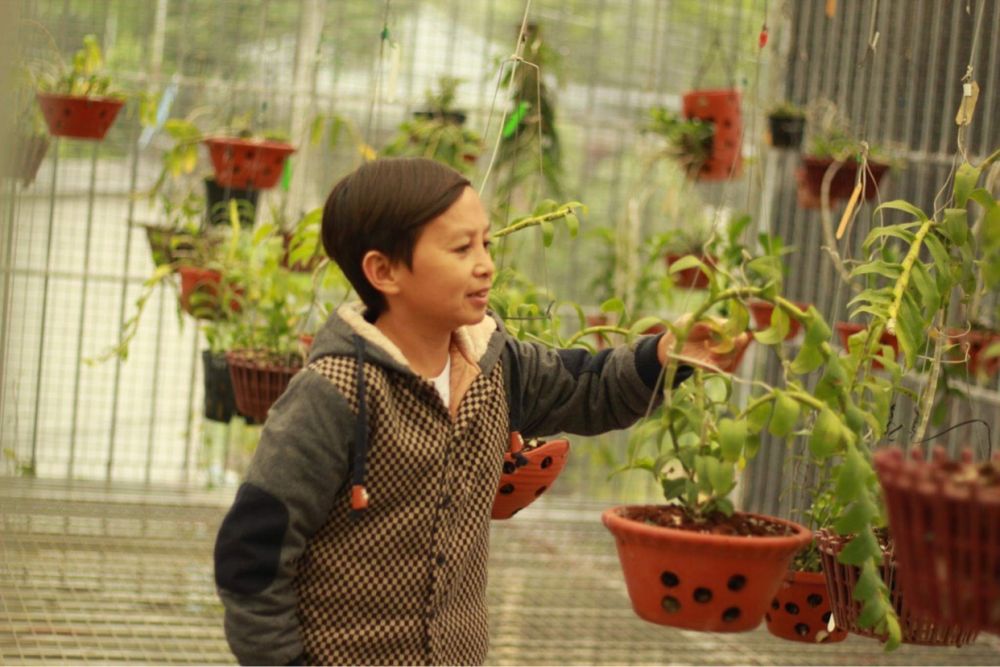 Mạnh Đinh: Chàng trai 8X nuôi dưỡng ước mơ làm giàu từ hoa phong lan