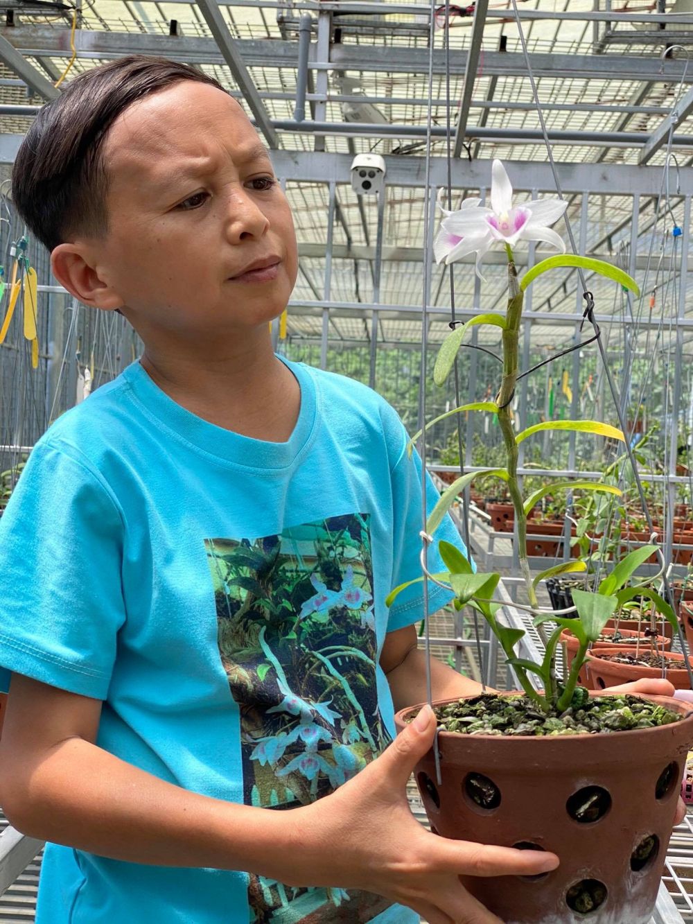Mạnh Đinh: Chàng trai 8X nuôi dưỡng ước mơ làm giàu từ hoa phong lan
