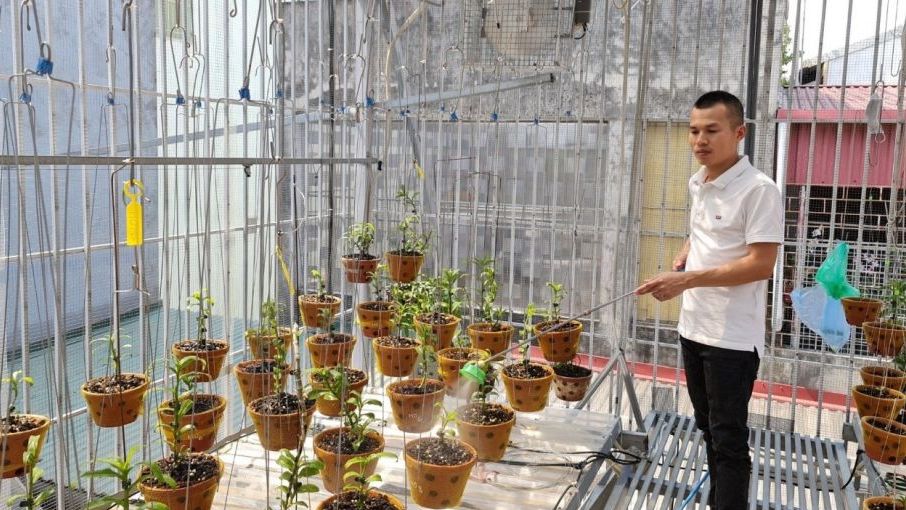 Doanh nhân Hoangnam Jsc: Thỏa niềm đam mê với chăm sóc hoa lan