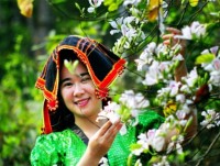 cau chuyen ve chiec bo tai gao len dien bien