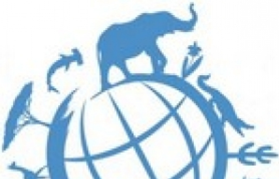 Việt Nam kiến nghị lên LHQ 5 biện pháp xóa bỏ tình trạng buôn bán sản phẩm từ động vật hoang dã