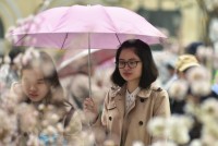 phat hien moi ve thinh giac cac loai hoa