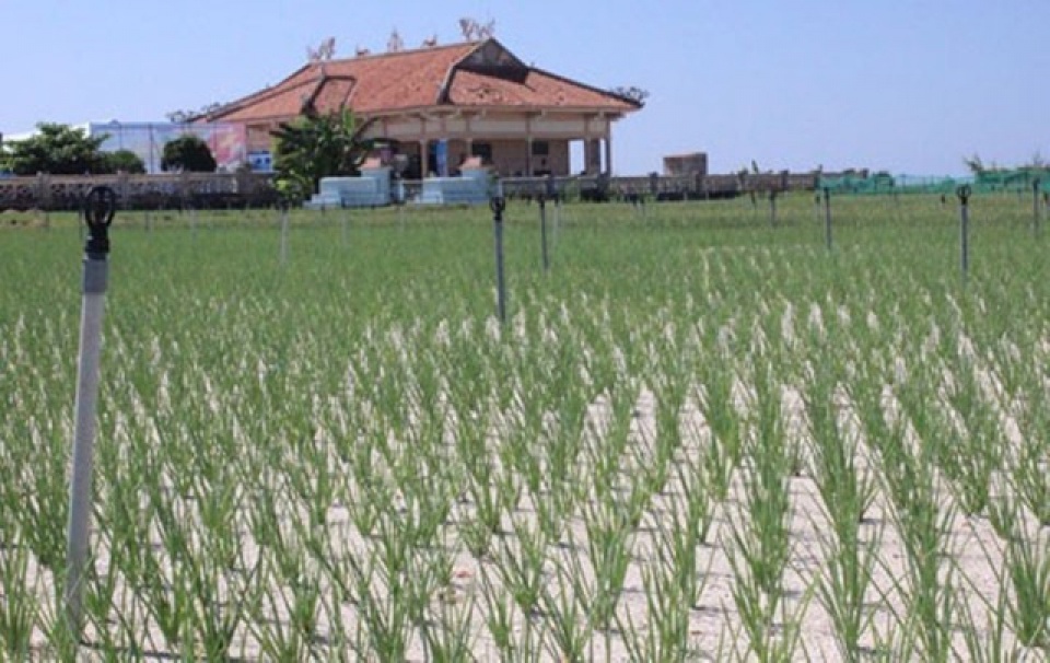 8 hòn đảo thiên đường đẹp "quên lối về" ở Việt Nam 8 hon dao thien duong dep quen loi ve o viet nam