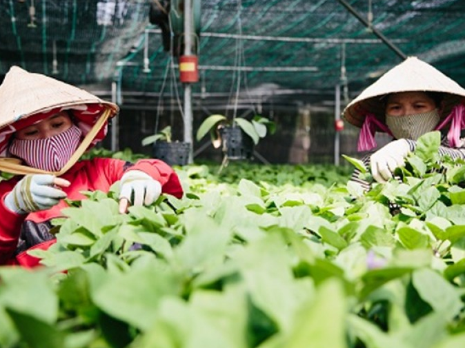 Hướng tới người thu nhập thấp để phát triển bền vững