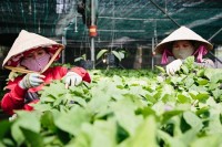 Hướng tới người thu nhập thấp để phát triển bền vững