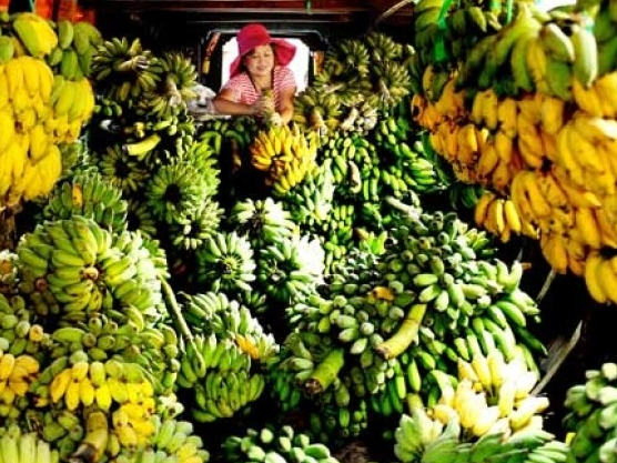 ASEAN tăng lượng xuất khẩu sang Nga