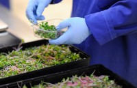 giao vien robot xam chiem cac nha tre o trung quoc