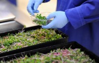 Robot đang đồng hành cùng nông dân châu Á