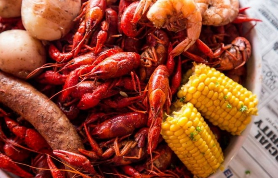 Dịch vụ tuyệt vời dành cho các thực khách yêu thích hải sản