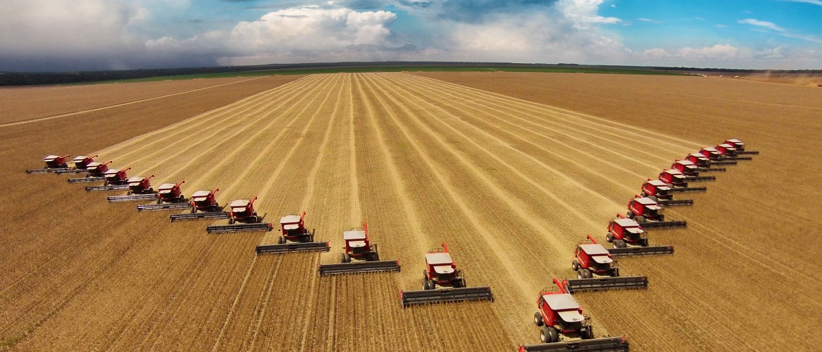 Phục hồi tài nguyên đất: Vấn đề và giải pháp