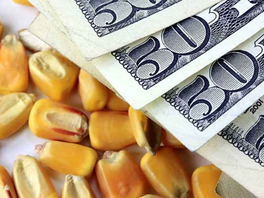 Giá lương thực thế giới tăng mạnh nhất trong 4 năm qua