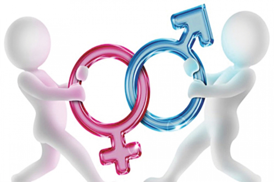 2019: Hàng loạt luật mới “chỉ có” trên đất Mỹ 2019 hang loat luat moi chi co tren dat my