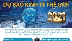Dự báo kinh tế thế giới 2021: Covid-19 chưa chắc được kiểm soát, quá trình hồi phục còn dài