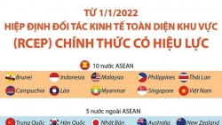 RCEP chính thức có hiệu lực từ ngày hôm nay 1/1/2022