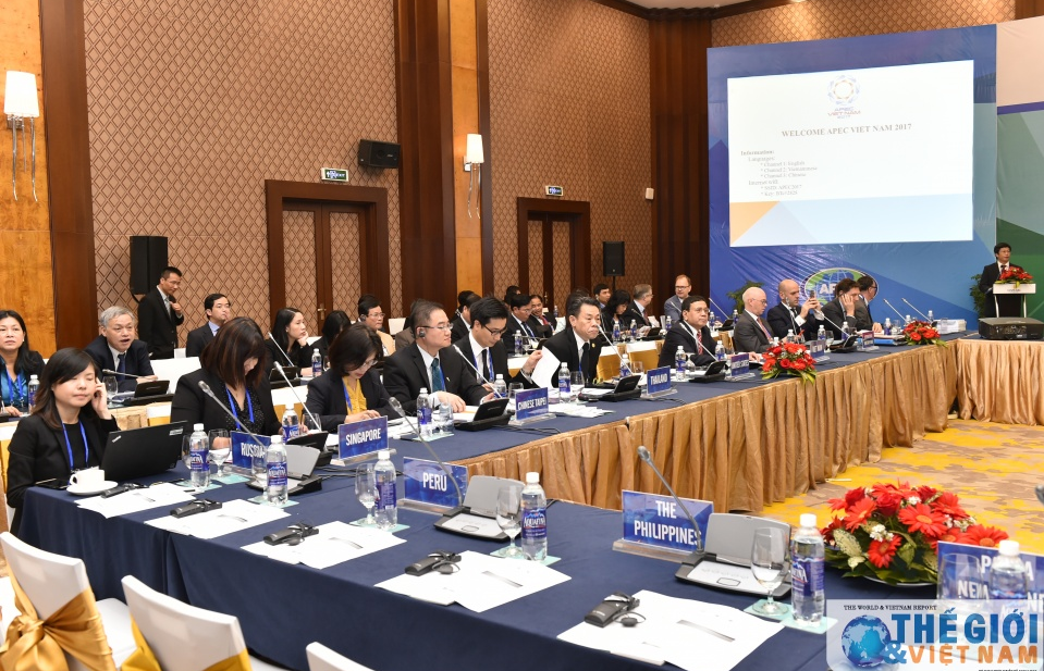 APEC cùng hành động chống hành vi gian lận thuế