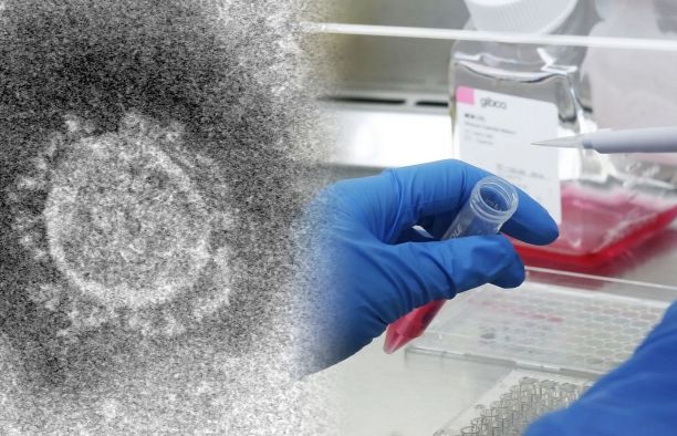 Thuốc điều trị virus corona: Đặt cược vào các loại dược phẩm có sẵn hay là không?