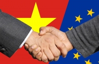 gsts andreas stoffers toi uu hoa evfta