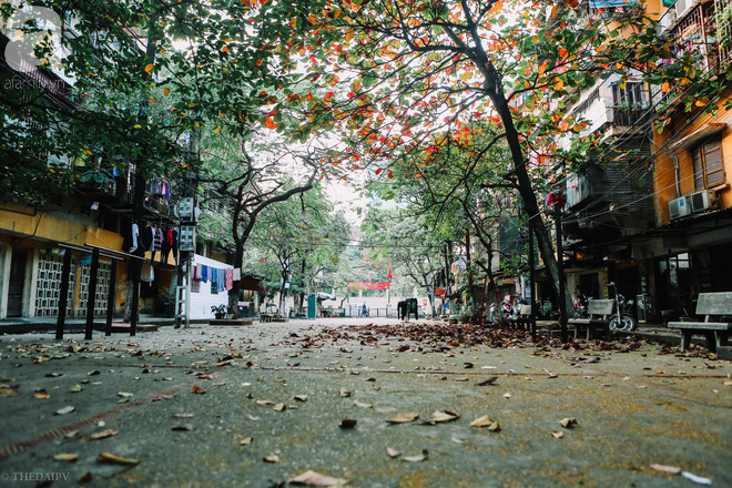 Dự báo thời tiết 10 ngày tới (đêm 26/2-8/3): Tin gió mùa Đông Bắc và Cảnh báo gió mạnh, sóng lớn trên biển Dự báo thời tiết 10 ngày tới (đêm 26/2-8/3): Bắc Bộ có mưa rào, có nơi có dông, trời chuyển rét; miền Đông Nam Bộ có nơi nắng nóng
