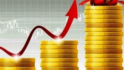 Giá vàng hôm nay 4/5: Giá vàng đi đâu sau cú mất phanh, Fed sẵn sàng thắt chặt hầu bao, cơ hội mua tuyệt vời?