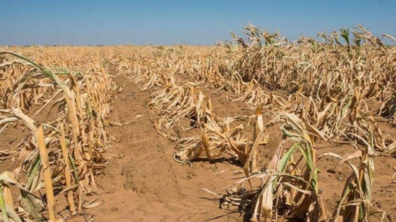 Liên hợp quốc cảnh báo tình trạng thiếu lương thực