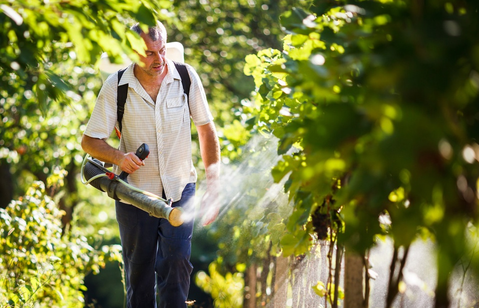 Tìm đối tác phân phối thuốc bảo vệ thực vật và trừ sâu sinh học Israel