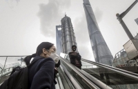 wb can hanh dong ngay de giam thieu cu soc kinh te tu dai dich covid 19