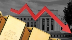 Giá vàng hôm nay 29/1, Giá vàng đã tới đáy, giới đầu cơ ồ ạt bán tháo, cơ hội mua vào?