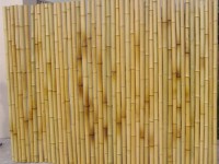 thuc day mo hinh kinh doanh ben vung