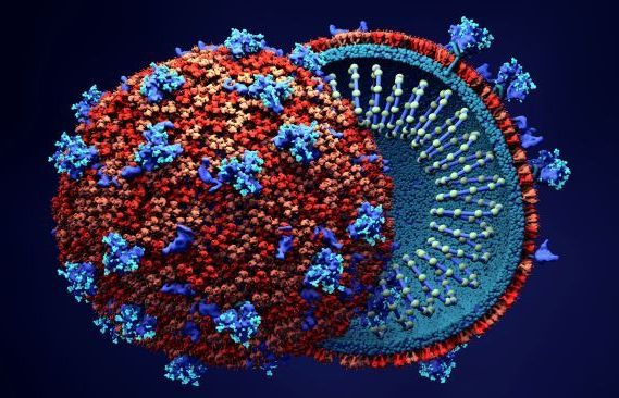 WHO khẳng định SARS-CoV-2 có nguồn gốc tự nhiên, Thủ tướng Australia nói 'không thể loại trừ bất cứ điều gì'