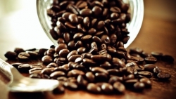 Giá cà phê hôm nay 14/1, Các yếu tố tích cực bị hóa giải, giới đầu cơ ồ ạt bán thanh lý