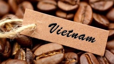 Giá cà phê hôm nay 31/10, Robusta phục hồi nhanh; Cẩn trọng hiện tượng đầu cơ, thao túng giá