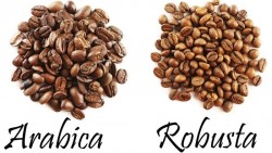 Giá cà phê hôm nay 26/10: Arabica thế chỗ robusta lao dốc mạnh, bao giờ hãm được phanh giảm giá?