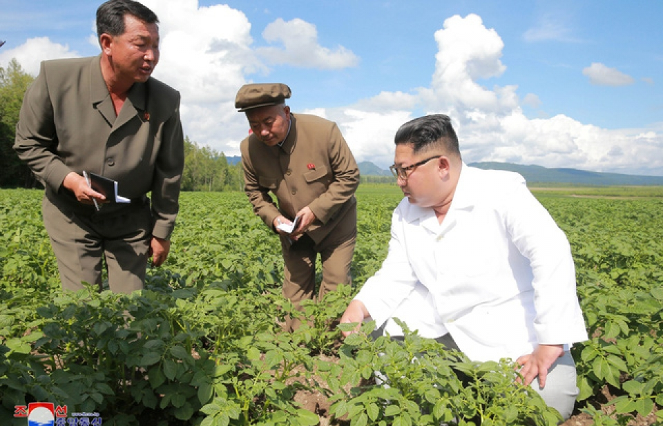 Trừng phạt quốc tế đẩy lùi tăng trưởng của kinh tế Triều Tiên