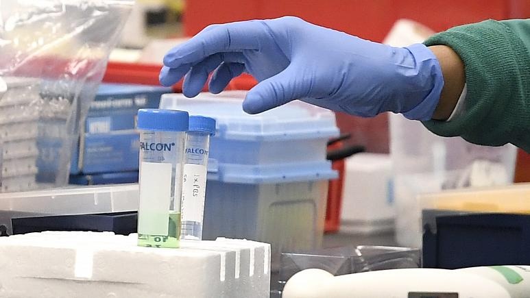 Triều Tiên tuyên b. (Nguồn: AP)ố đang thử nghiệm vaccine phòng Covid-19, không có bất cứ ca nào nhiễm SARS-CoV-2 nào trieu tien tuyen bo dang thu nghiem vaccine phong covid 19 khong co bat cu ca nao nhiem sars cov 2 nao