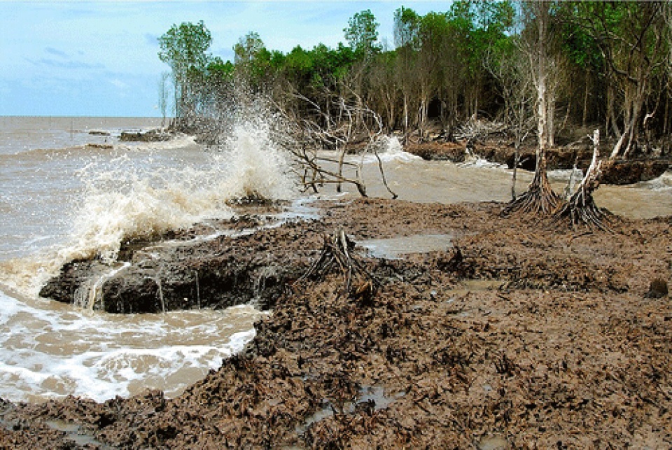 Quy hoạch cấp nước vùng đồng bằng sông Cửu Long