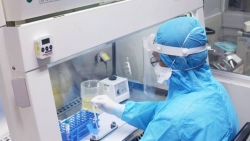 Covid-19 ở Việt Nam chiều 20/8: Thêm 14 ca mắc mới có 11 ca ở Đà Nẵng, ghi nhận tổng số bệnh nhân vượt 1.000