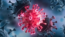 Chuyên gia Australia: Biến thể Delta có thể gây viêm cơ tim, đông máu và làm tăng nguy cơ tử vong ở người trẻ