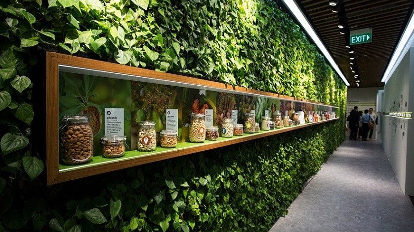 Quỹ trăm tỷ USD 'bắt tay' biến Singapore thành cường quốc nông nghiệp