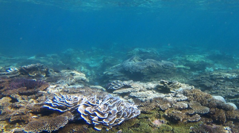 tin nhap 20181027085955