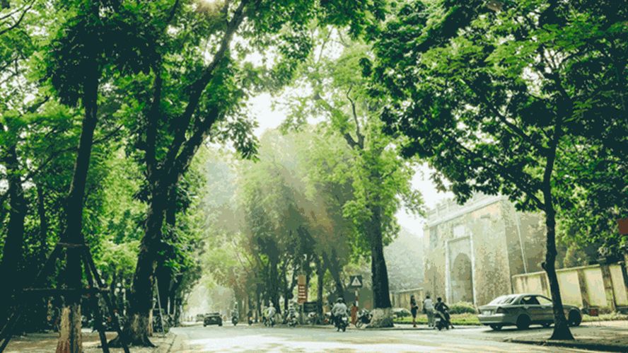 Dự báo thời tiết 10 ngày tới (từ đêm 20-30/11): Miền Bắc trời trở lạnh, đêm có mưa. Nam Bộ chiều và tối có mưa rào và dông, đề phòng lốc sét