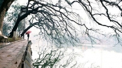 Dự báo thời tiết ngày và đêm nay (5/12): Không khí lạnh tăng cường ở Bắc Bộ, vùng núi cao có nơi dưới 5 độ, có thể có băng giá và sương muối