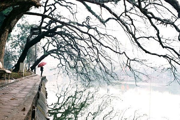 Dự báo thời tiết ngày và đêm nay (5/12): Không khí lạnh tăng cường Dự báo thời tiết ngày và đêm nay (5/12): Không khí lạnh tăng cường