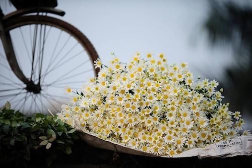 Dự báo thời tiết 10 ngày tới (từ đêm 4-14/12): Dự báo thời tiết 10 ngày tới (từ đêm 4-14/12):