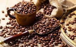 Giá cà phê hôm nay 1/9/2024: Giá cà phê robusta nóng 'hừng hực', nhà nhập khẩu châu Âu chạy đua với Quy định EUDR