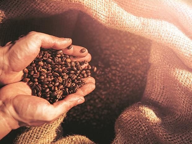 Giá cà phê hôm nay 10/12: Giá Arabica quay đầu giảm sâu, nhiều khó khăn. (Nguồn: Shutterstock) Giá cà phê hôm nay 10/12: Giá Arabica quay đầu giảm sâu, nhiều khó khăn. (Nguồn: Shutterstock)