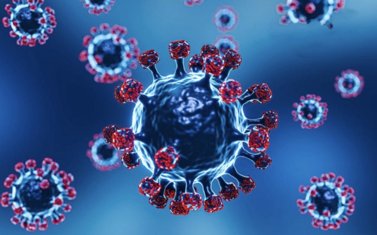 Siêu biến chủng Omicron: Lây lan ở Anh nhanh hơn Nam Phi, Bộ trưởng Y tế Canada nói về 'sự cảnh tỉnh tàn nhẫn'